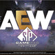 2025 Upper Deck AEW SP Game Used Wrestling Hobby
