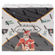 2025 Panini Prizm Football Hobby